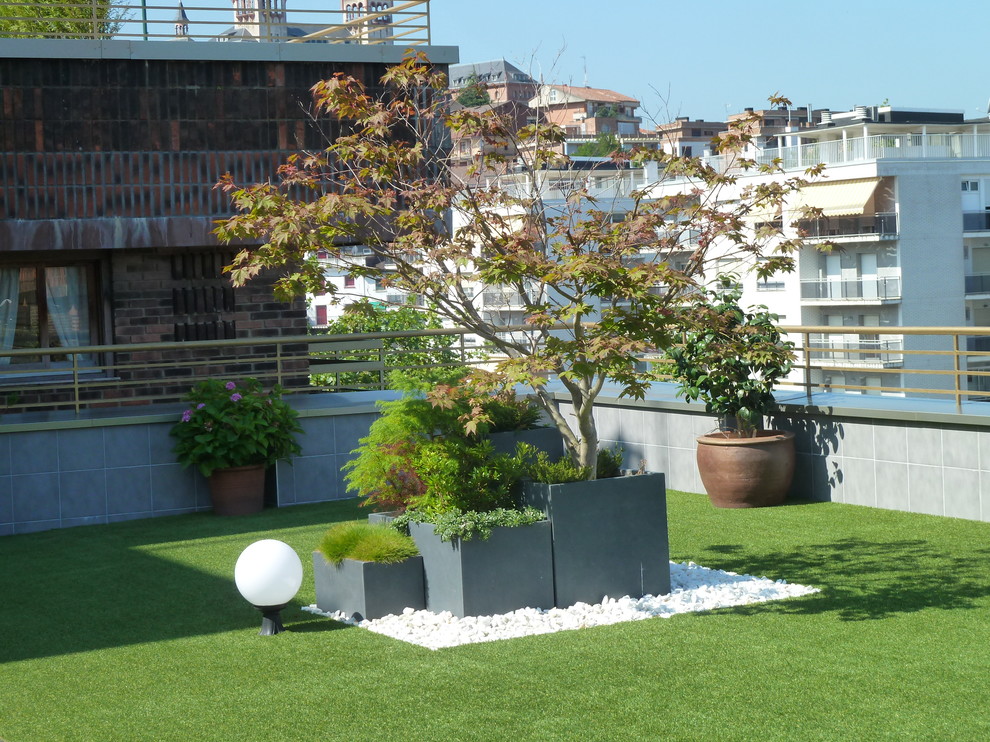 Ejemplo de terraza tradicional renovada de tamaño medio sin cubierta en azotea con jardín de macetas