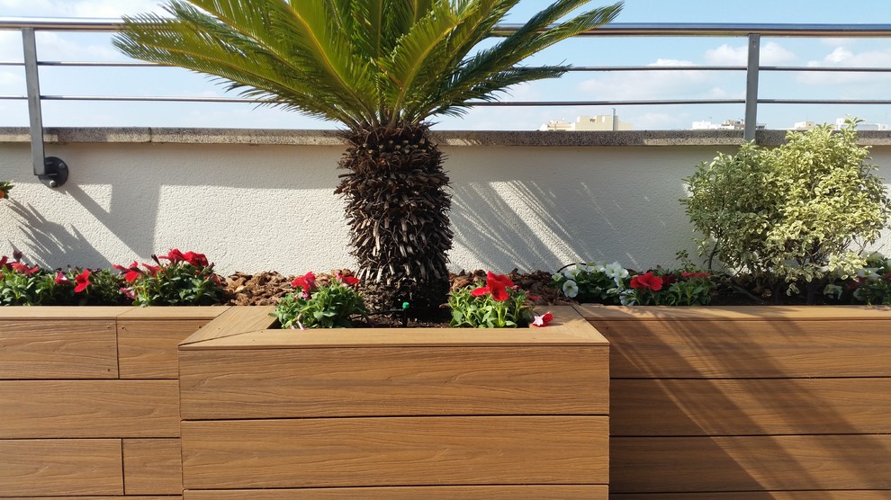 Esempio di un'ampia terrazza minimalista sul tetto con un giardino in vaso