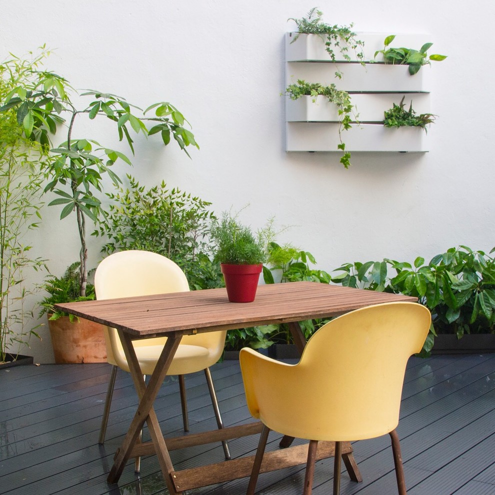 Idee per una terrazza contemporanea con un giardino in vaso e nessuna copertura
