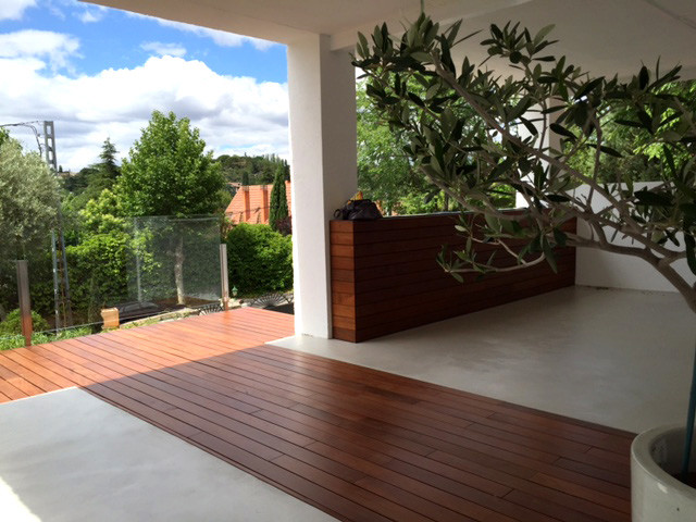 Imagen de terraza contemporánea de tamaño medio en patio trasero y anexo de casas con jardín de macetas