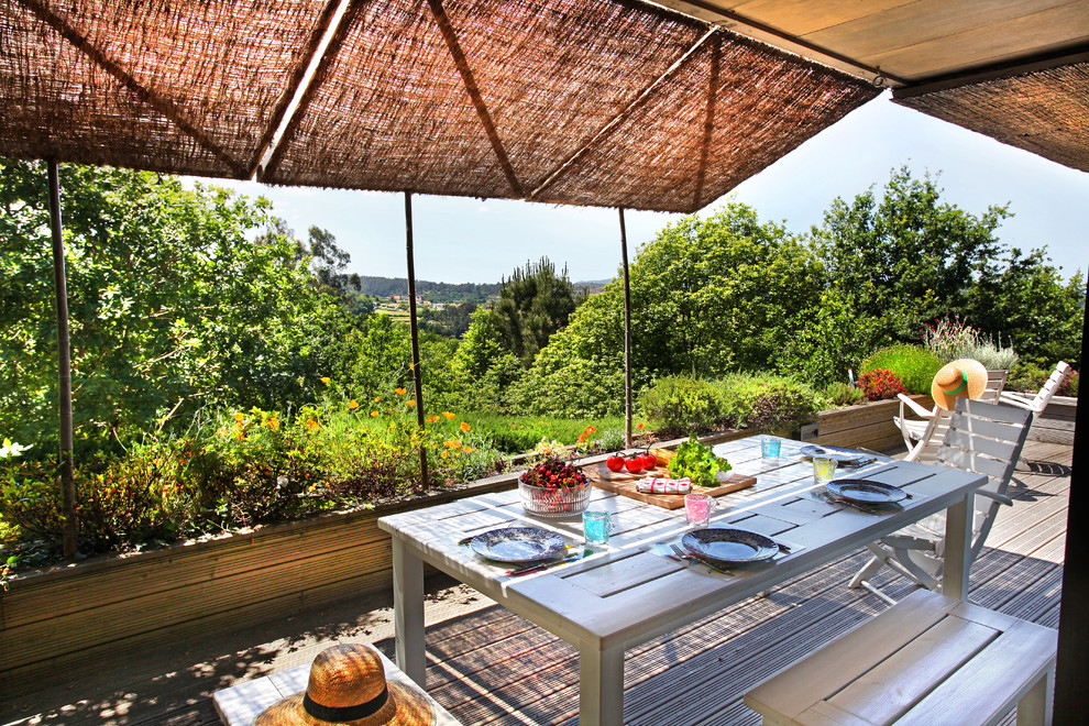 Imagen de terraza exótica de tamaño medio en patio lateral con jardín de macetas y toldo