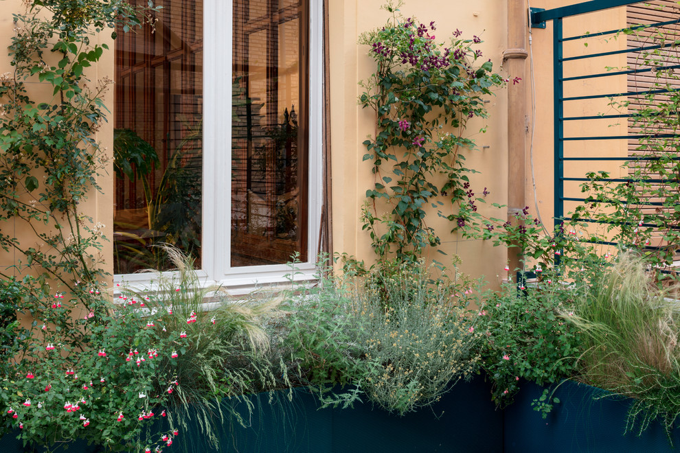 Foto di una terrazza design di medie dimensioni con un giardino in vaso e una pergola