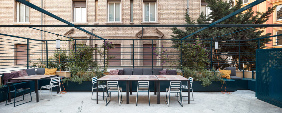 Ispirazione per una terrazza contemporanea di medie dimensioni con un giardino in vaso e una pergola