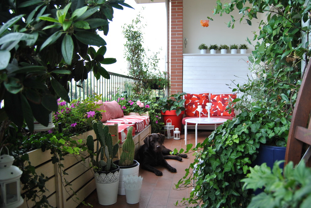 Foto di una grande terrazza contemporanea con un giardino in vaso e un tetto a sbalzo