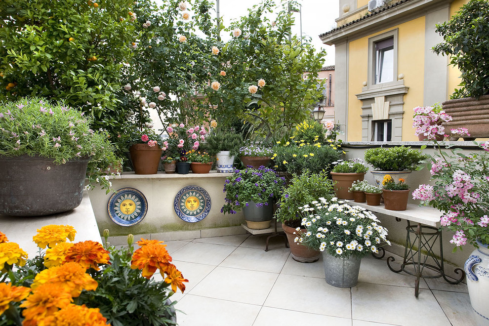 Réalisation d'une terrasse avec des plantes en pots tradition.