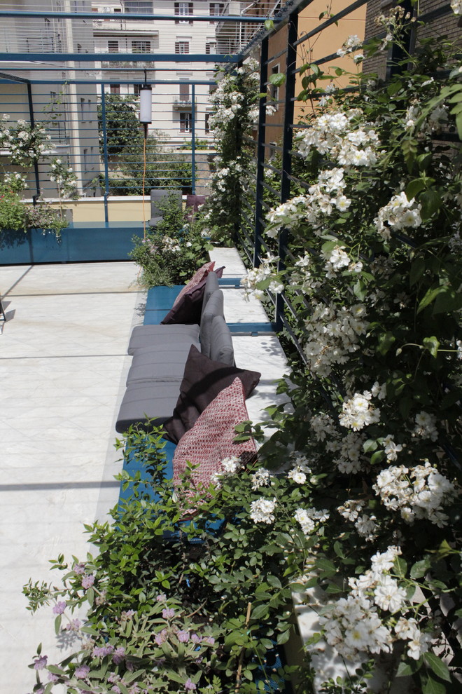 Idee per una terrazza design di medie dimensioni con un giardino in vaso e una pergola