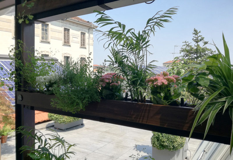 Ejemplo de terraza minimalista de tamaño medio en azotea con jardín vertical y pérgola