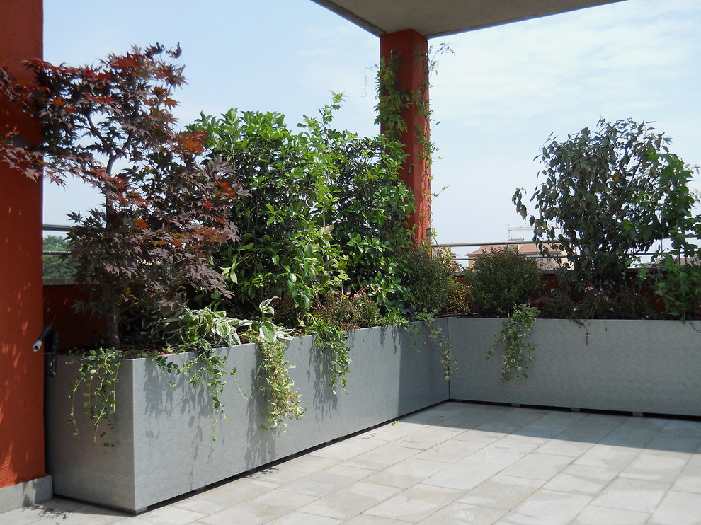 Geräumige Moderne Dachterrasse mit Kübelpflanzen in Mailand