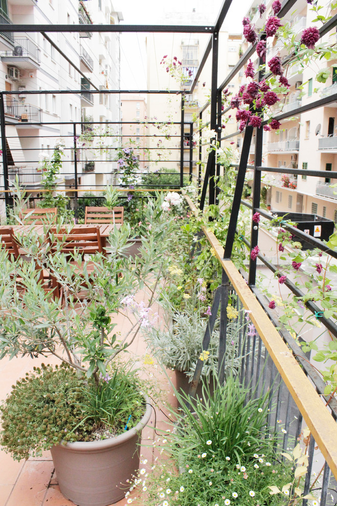 Immagine di una terrazza contemporanea di medie dimensioni con un giardino in vaso e una pergola