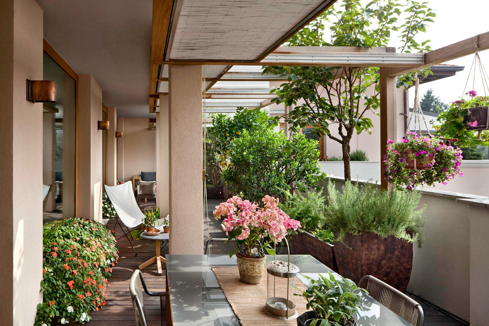 Immagine di una grande terrazza contemporanea sul tetto e sul tetto con un giardino in vaso e una pergola