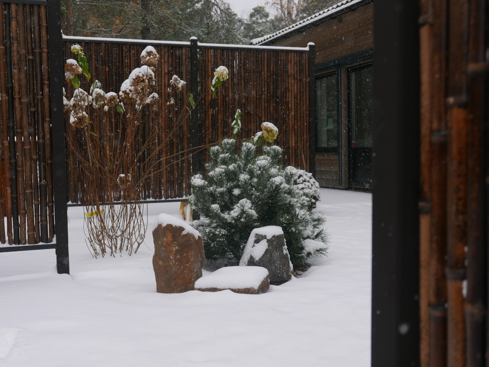Свежая идея для дизайна: участок и сад зимой на переднем дворе - отличное фото интерьера