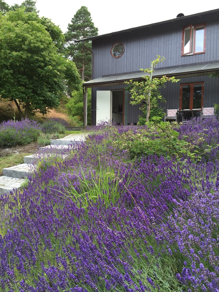Cette photo montre un grand jardin avant scandinave l'été avec une exposition ensoleillée.