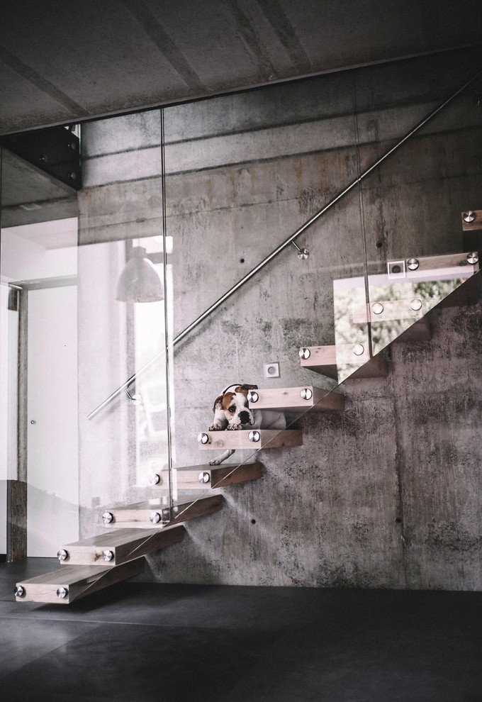Свежая идея для дизайна: большая лестница на больцах в современном стиле с деревянными ступенями и стеклянными перилами без подступенок - отличное фото интерьера