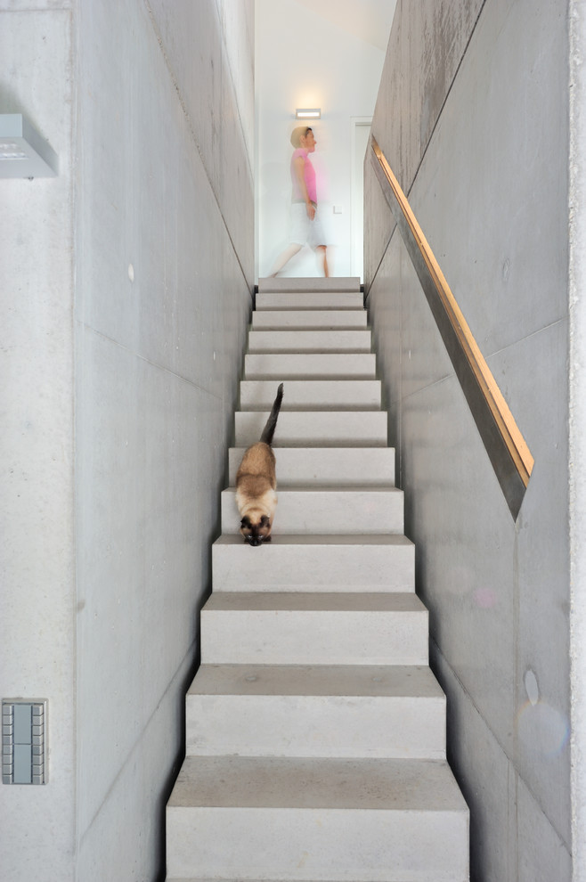 Idéer för en liten modern rak betongtrappa, med sättsteg i betong