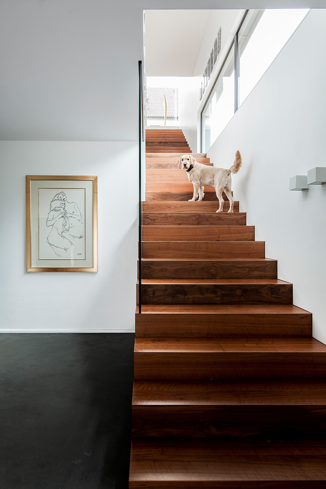 Imagen de escalera recta extra grande con escalones de madera, contrahuellas de madera y barandilla de vidrio