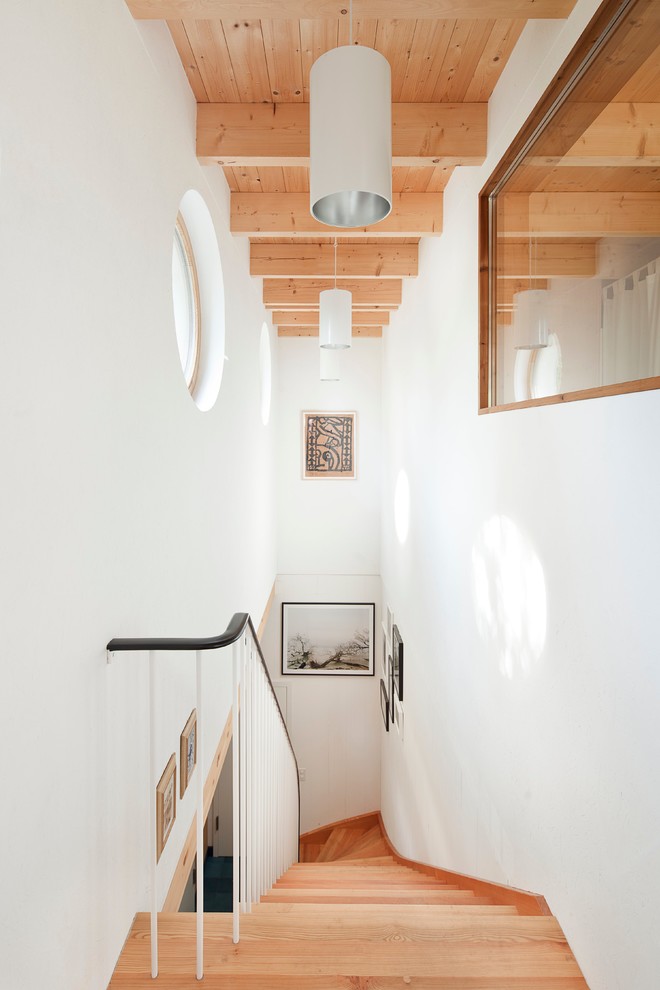 Cette photo montre un grand escalier courbe scandinave avec des marches en bois et des contremarches en bois.