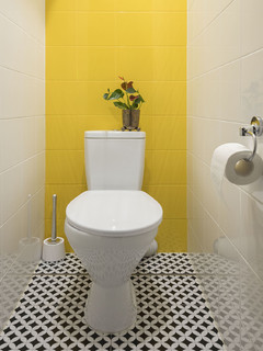 Photos et idées déco de WC et toilettes avec WC séparés et un carrelage  jaune - Juillet 2023 | Houzz FR
