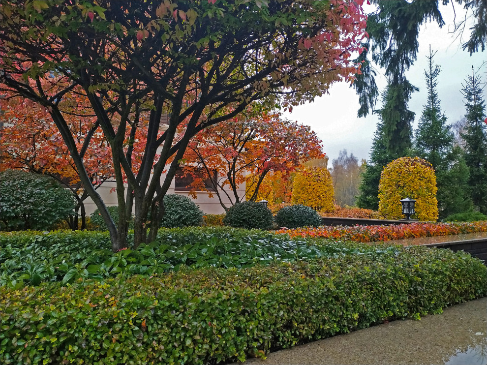 Foto di un giardino tradizionale esposto a mezz'ombra di medie dimensioni e nel cortile laterale in autunno