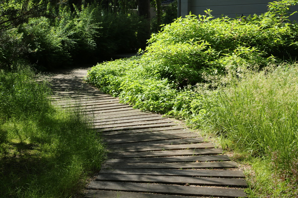 Immagine di un giardino contemporaneo esposto a mezz'ombra di medie dimensioni e davanti casa in estate con pedane