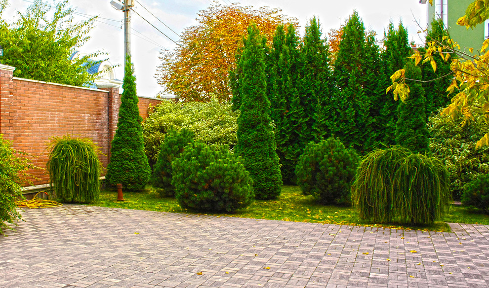 Idee per un piccolo giardino formale design esposto a mezz'ombra davanti casa in autunno con pavimentazioni in cemento