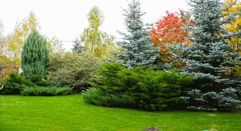 Mittelgroßer Klassischer Garten im Innenhof im Herbst mit direkter Sonneneinstrahlung, Natursteinplatten und Sichtschutz in Moskau