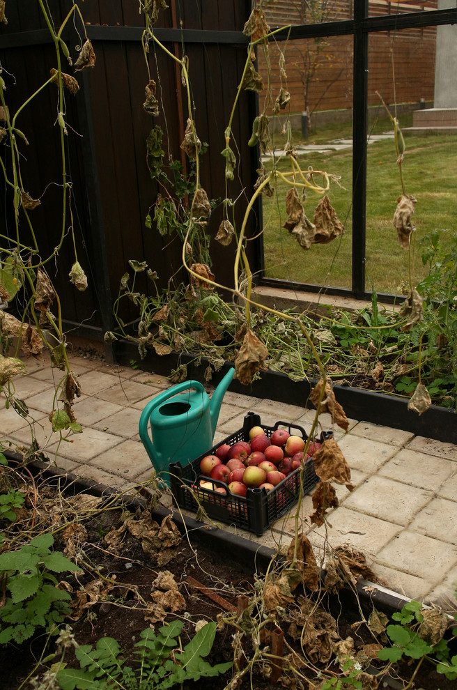 Bild på en liten funkis trädgård i full sol framför huset på hösten, med en köksträdgård och marksten i betong