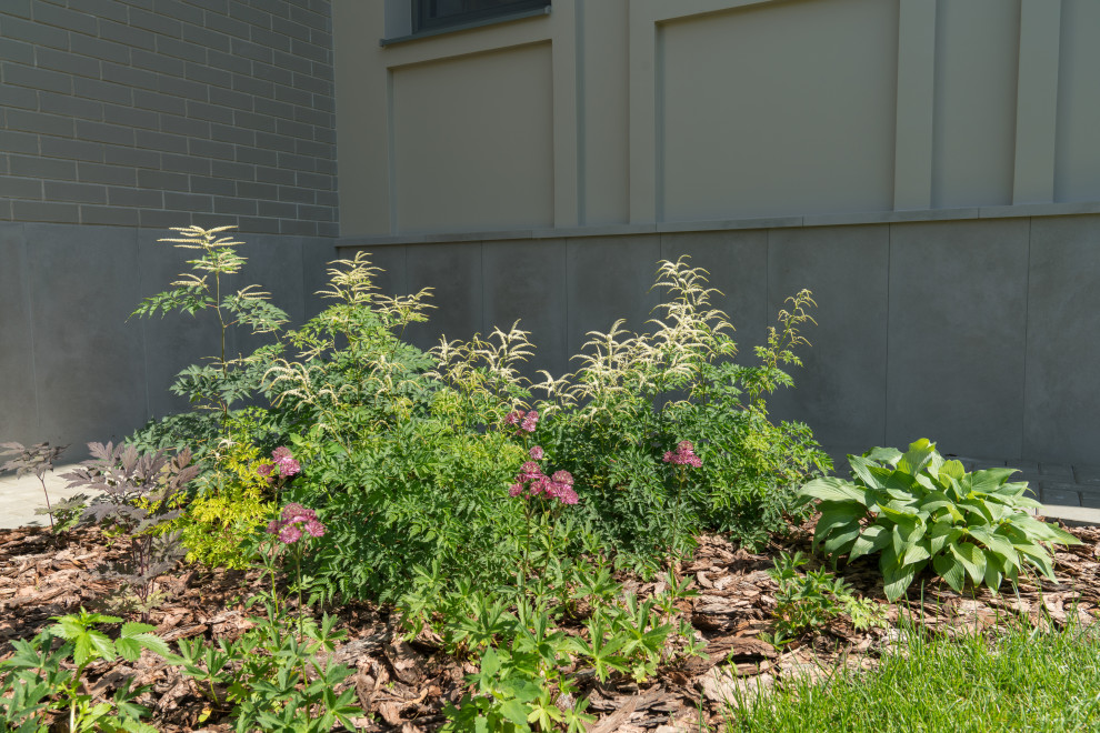 Cette photo montre un jardin tendance de taille moyenne et l'été avec une exposition ensoleillée et des pavés en béton.