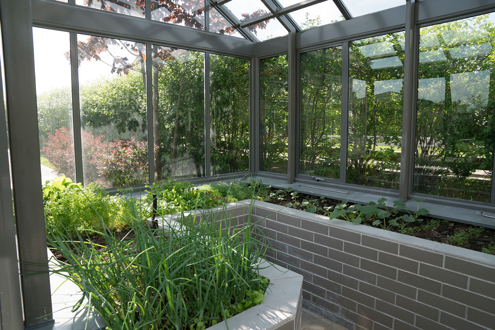 Свежая идея для дизайна: огород на участке в современном стиле - отличное фото интерьера