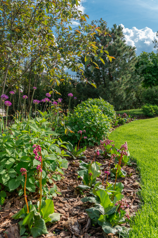 На фото: солнечный, весенний регулярный сад среднего размера на внутреннем дворе в современном стиле с садовой дорожкой или калиткой, хорошей освещенностью и мульчированием