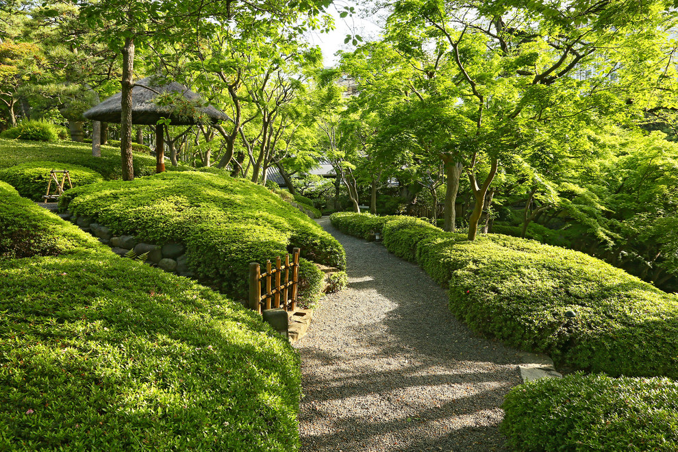 東京23区にあるお手頃価格の広い、春のアジアンスタイルのおしゃれな中庭 (庭への小道、半日向、砂利舗装) の写真