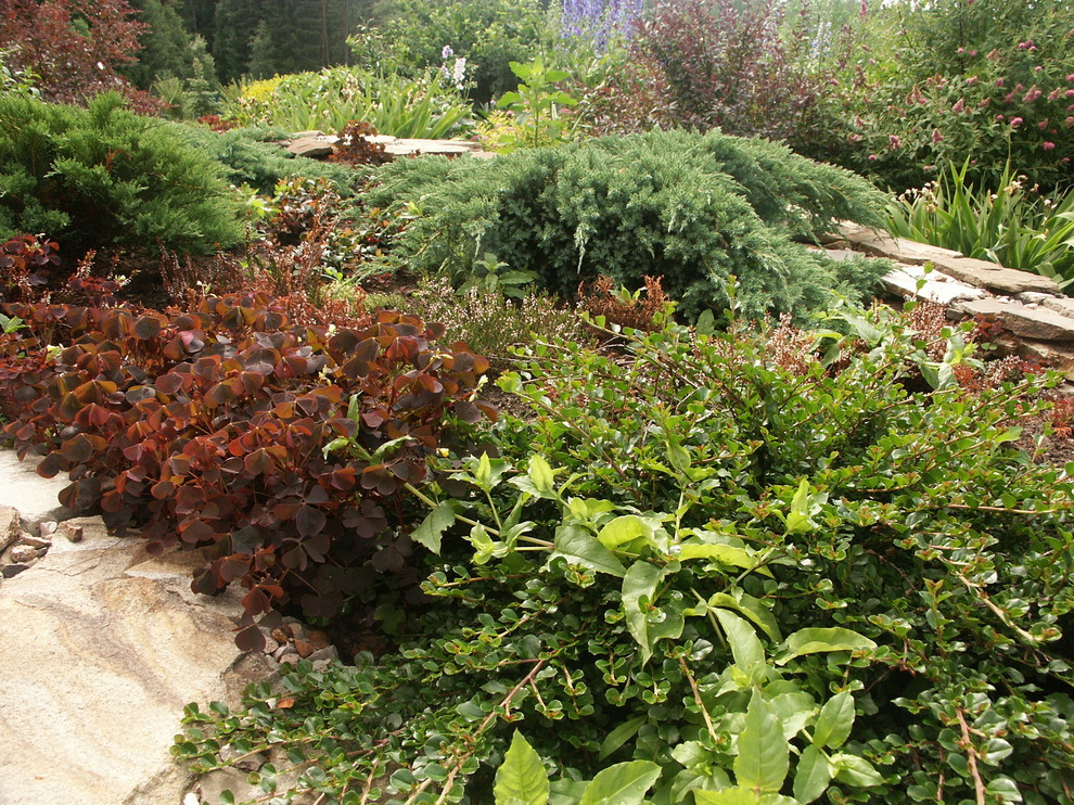 Imagen de jardín campestre grande en verano en ladera con exposición total al sol y gravilla