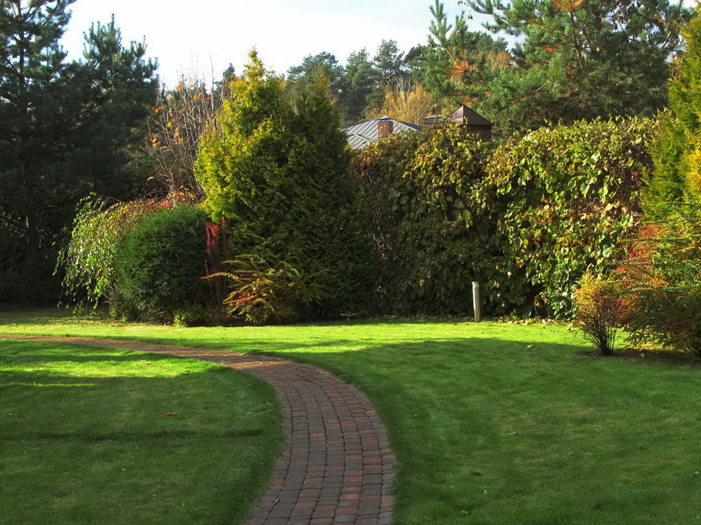Источник вдохновения для домашнего уюта: маленький осенний участок и сад на заднем дворе в современном стиле с мощением тротуарной плиткой для на участке и в саду