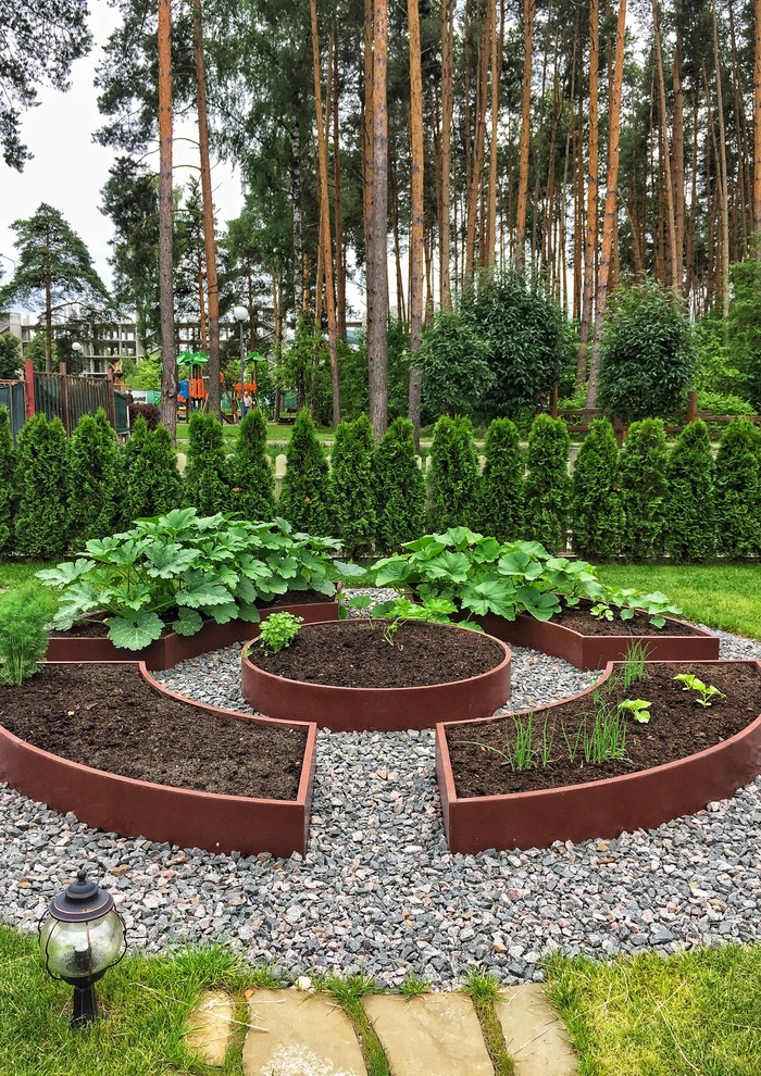 Traditional partial sun garden for summer in Moscow with a vegetable patch.