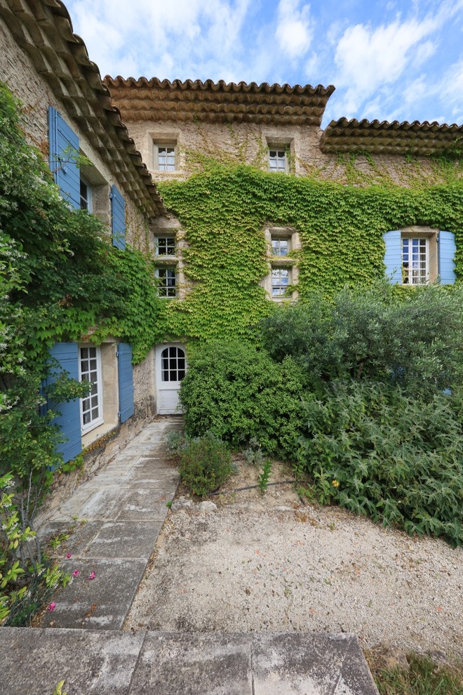 Cette photo montre un jardin méditerranéen l'été.