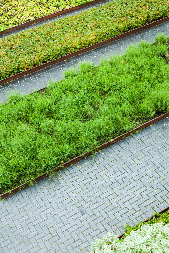 Photo of a contemporary landscaping in Saint Petersburg.