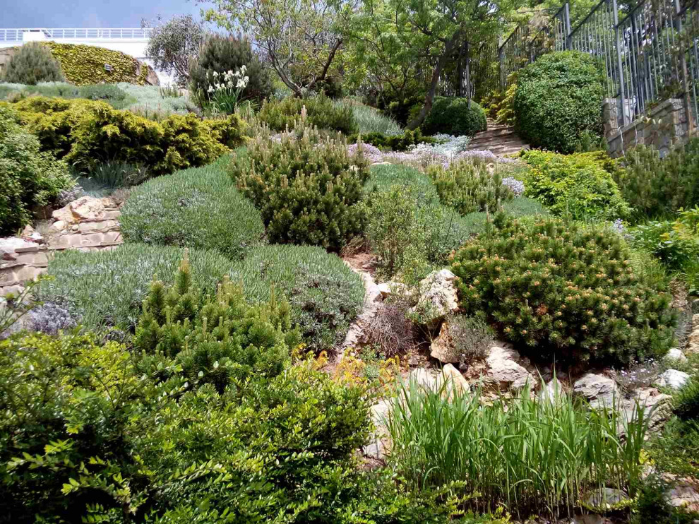 Immagine di un giardino mediterraneo con un pendio, una collina o una riva