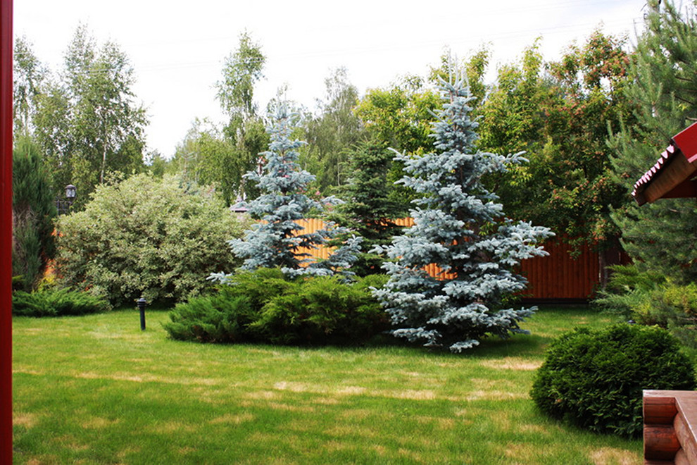 Foto di un giardino vittoriano esposto in pieno sole di medie dimensioni e in cortile in estate