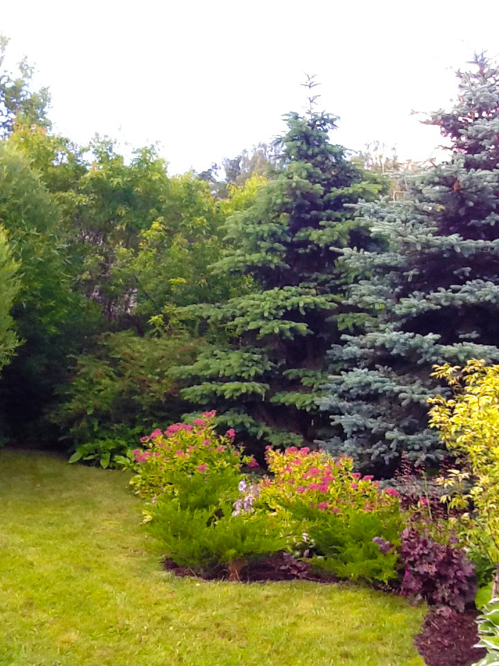 モスクワにあるお手頃価格の広い、夏の北欧スタイルのおしゃれな庭 (ゼリスケープ、半日向、レンガ敷き) の写真