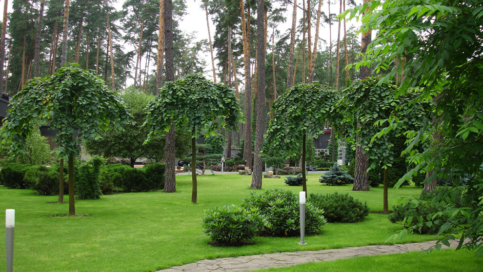 Exemple d'un jardin tendance l'été avec une exposition partiellement ombragée.