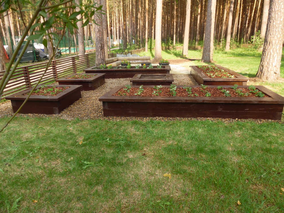 На фото: большой весенний огород на участке на заднем дворе в стиле рустика с полуденной тенью и покрытием из гравия с