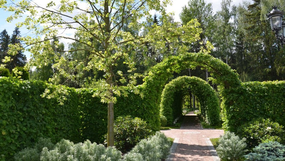 На фото: летний регулярный сад в классическом стиле с покрытием из гравия и с перголой с