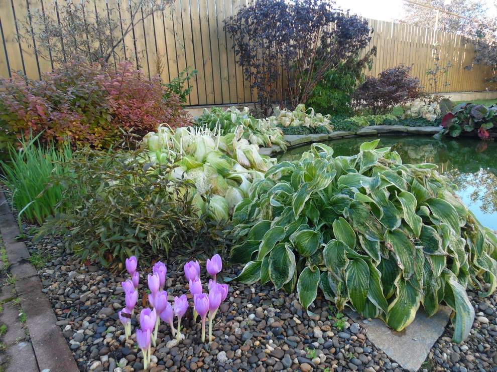 Inspiration pour un petit jardin sur cour design l'automne avec un bassin et une exposition ensoleillée.