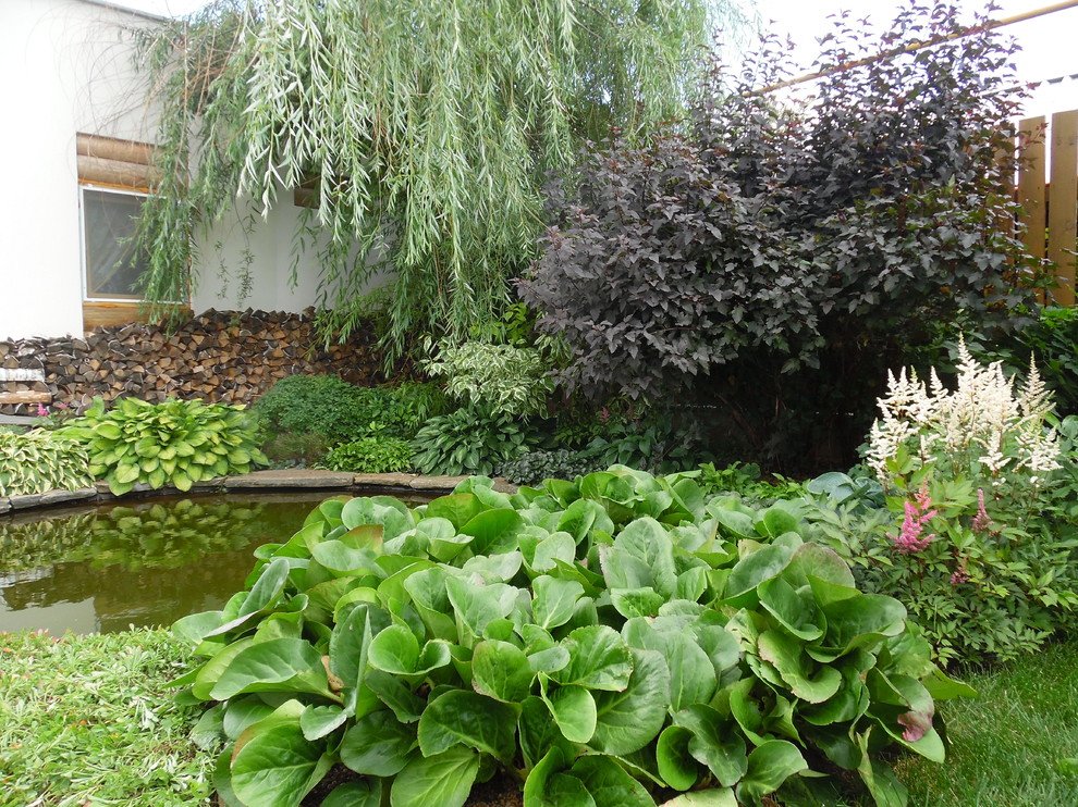 Aménagement d'un petit jardin sur cour montagne l'été avec un bassin et une exposition ensoleillée.