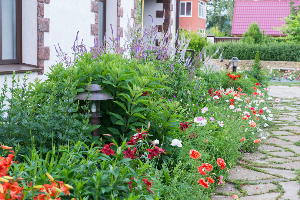 Idee per un giardino esposto in pieno sole dietro casa in estate