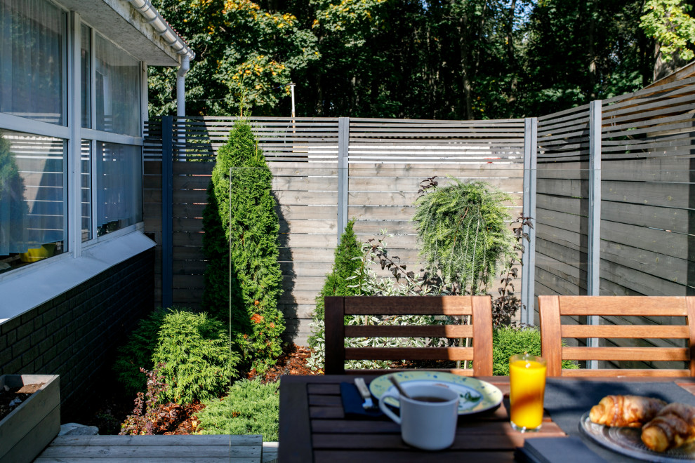 Свежая идея для дизайна: маленький солнечный, летний регулярный сад на внутреннем дворе в современном стиле с хорошей освещенностью и мульчированием для на участке и в саду - отличное фото интерьера
