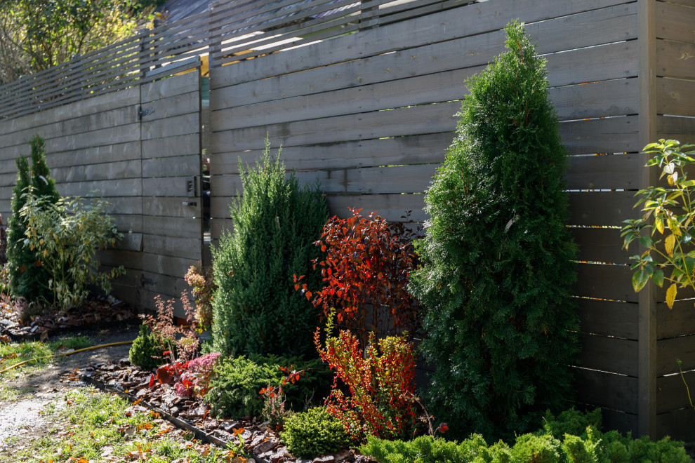 Источник вдохновения для домашнего уюта: маленький солнечный, летний регулярный сад на внутреннем дворе в современном стиле с хорошей освещенностью и мульчированием для на участке и в саду