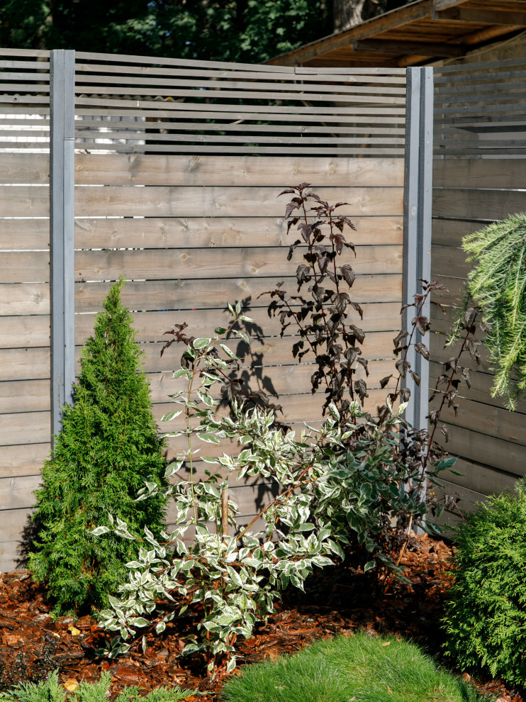 Свежая идея для дизайна: маленький солнечный, летний регулярный сад на внутреннем дворе в современном стиле с хорошей освещенностью и мульчированием для на участке и в саду - отличное фото интерьера