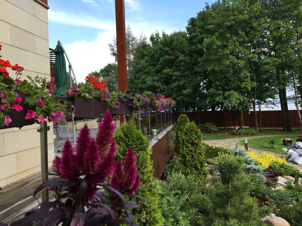 サンクトペテルブルクにあるコンテンポラリースタイルのおしゃれな庭 (コンテナガーデン) の写真