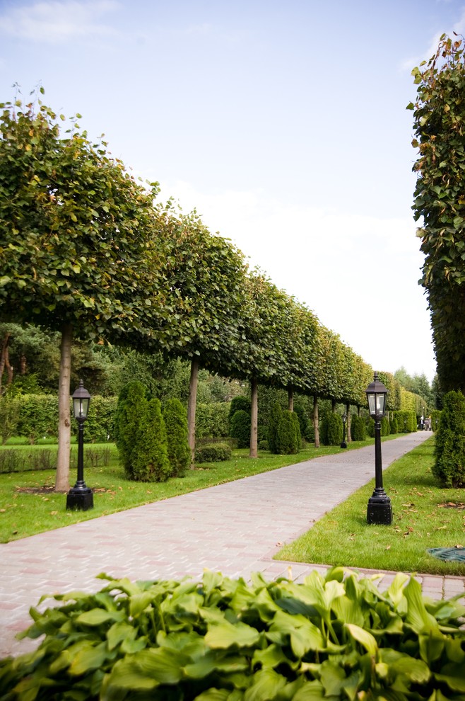 Diseño de jardín clásico en verano con jardín francés