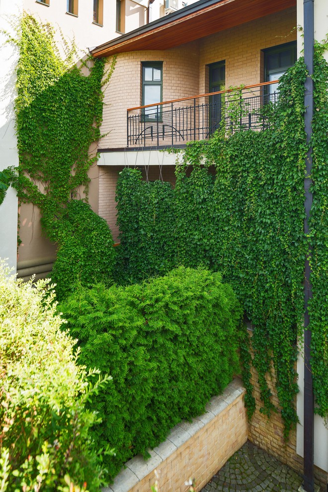 Modelo de jardín actual en verano con jardín vertical